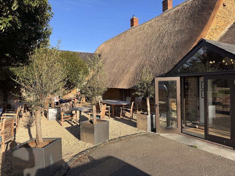 Sunny courtyard seating at the Duke of Cumberland's Head, with olive trees and a gravel garden